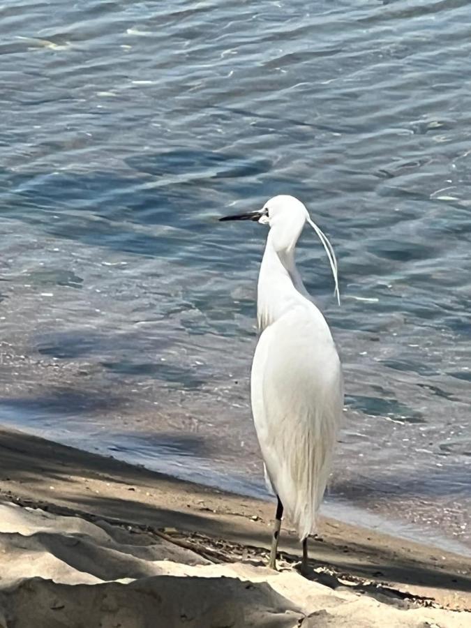 Kallithea Nea Iraklitsa Buitenkant foto